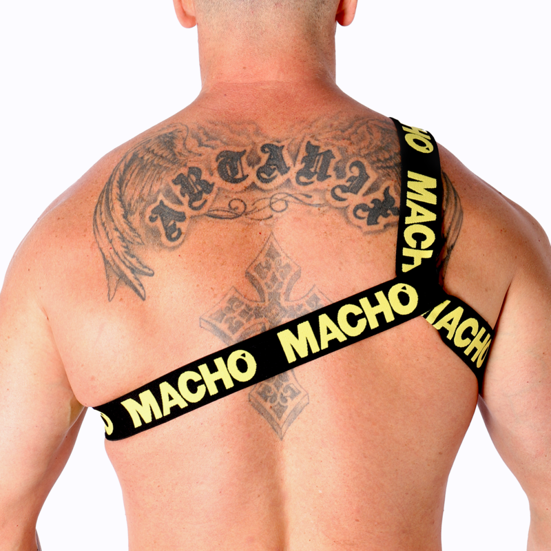MACHO - ROMAN HARNESS PRIDE L/XL